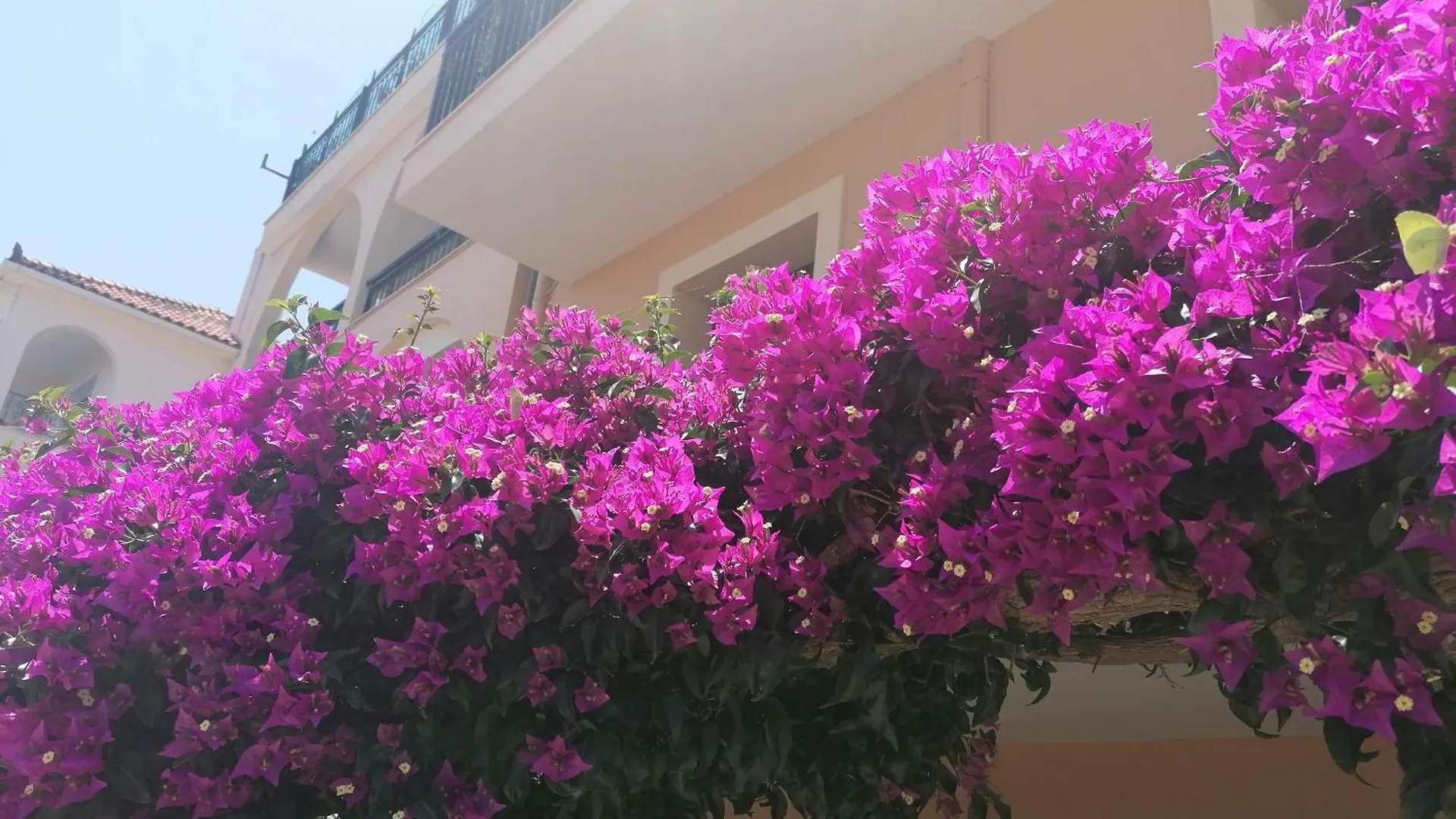 Marinos Studios - 1St Floor Apartment Πόρος Ελλάδα